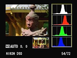 Nikon D90 – lokales Histogramm [Foto: Yvan Boeres]