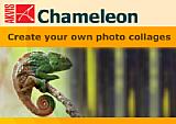 Altes Chameleon Logo [Foto: Chameleon]