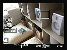 Canon EOS 50D – Livebild-Modus [Foto: Yvan Boeres]