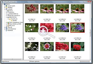 Softwaretest Serif PhotoPlus X2 - Bild 3. Bildbrowser [Foto: Dr. Thomas Hafen]