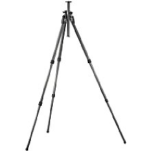 Gitzo GT2531EX