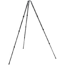Gitzo GT3541XLS