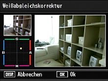 Ricoh R10 – Weissabgleichkorrektur [Foto: Yvan Boeres]