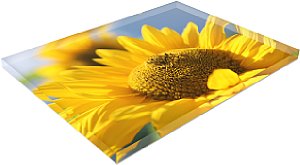 posterXXL Acryl-Glas-Poster [Foto: posterXXL]