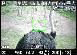 Nikon D5000 – LiveView [Foto: MediaNord]