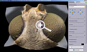 Helicon Focus Pro Screenshot [Foto: Globell]