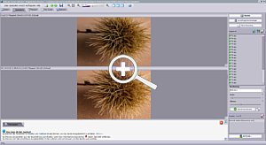 Helicon Focus Pro Screenshot [Foto: MediaNord]