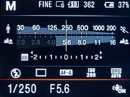 Sony Alpha 550 – Infobildschirm [Foto: MediaNord]