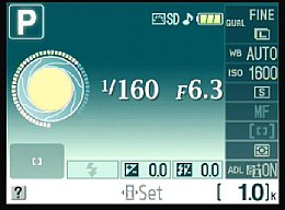 Nikon D3000 – Statusbildschirm [Foto: MediaNord]