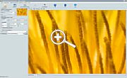 BenVista Photozoom Pro 3.0.6 - mit Pixelinterpolation vergrößert [Foto: MediaNord]