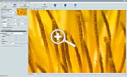 BenVista Photozoom Pro 3.0.6 - mit S-Spline Max vergrößert [Foto: MediaNord]