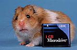IBM Microdrive [Foto: IBM] [Foto: Foto: IBM]