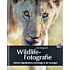 dpunkt.verlag Wildlife-Fotografie: Mit der Digitalkamera unterwegs in der Serengeti 