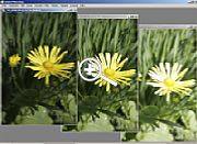 Bild 1: Eine Belichtungsreihe – Automatic Exposure Bracketing [Screenshot: MediaNord]
