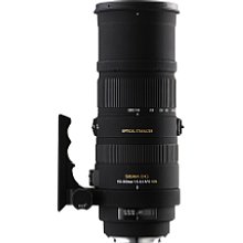 Sigma 150-500 mm 5-6.3 DG OS APO HSM