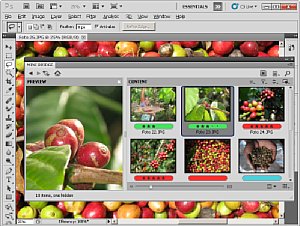 Das neue Bedienfeld Mini Bridge erlaubt Bildbearbeitung direkt innerhalb von Photoshop [Foto: Heico Neumeyer]