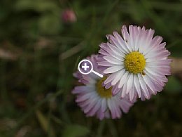 Fototipp Tonen – Orginalfoto [Foto: Harm-Diercks Gronewold]