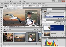 Bilder, die man über bereits geöffnete Dateien zieht, platziert Photoshop sofort als neue Ebenen; sie erscheinen nicht mehr als eigenständige Dateien [Foto: Heico Neumeyer]