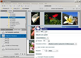 Die neue  
Exportieren-Palette bereitet Umwandlungen ins JPEG-Dateiformat vor.  
[Foto: Heico Neumeyer]
