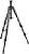 Manfrotto MT057C3-G Carbon Stativ
