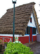 Sweety auf Madeira [Foto: Ilka Seaton]