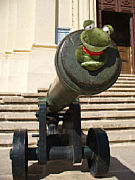 Sweety in der Zitadelle von Victoria auf Gozo [Foto:Klaus-Thortsen Tegge]