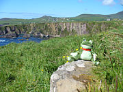 Sweety auf Dingle in Irland [Foto: Werner Nowak]