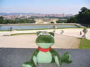 Sweety mit Blick auf das untere Belvedere in Wien [Foto: Sylvi Werner]