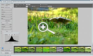 Photomatix Pro 4 Oberfläche Bildschirmfoto [Foto: MediaNord]