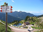 Sweety auf dem Mangenpass Italien [Foto: Stefan Doll]