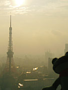 Sweety in Tokio [Foto: Robert Ransberg]
