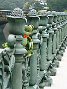 Sweety in Japan [Foto: Robert Ransburg]