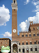 Sweety in Siena [Foto: Boris Stemmer]