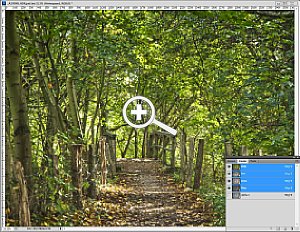 Fototipp: Kanalpalette differenzierte Weichzeichnung [Foto: HDG]