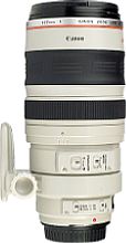 Canon EF 100-400 mm 4.5-5.6 L IS USM