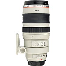 Canon EF 100-400 mm 4.5-5.6 L IS USM Objektiv