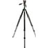 Dörr Pro Black 3XL (bis 193 cm)