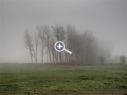 Fototipp Nebelbilder – dichter Nebel mit melancholischer Grundstimmung [Foto: Harm-Diercks Gronewold]