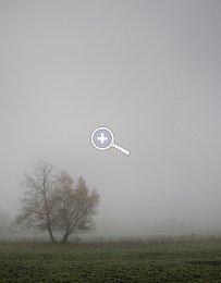 Fototipp Nebelbilder – Basisbild Nebel [Foto: Harm-Diercks Gronewold]