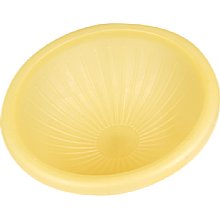 Gary Fong AmberDome