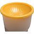 Gary Fong AmberDome