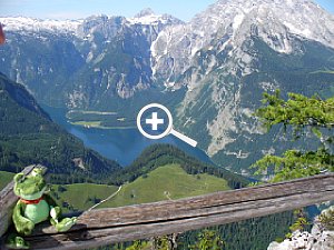 Sweety mit Blick auf den Königssee [Foto: Thomas Nachtigall]