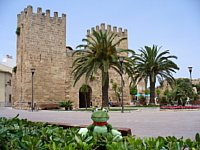 Der Sweety-Frosch vor einem Stadttor in Alcudia auf Mallorca [Foto: Jan-Markus Rupprecht]