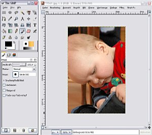 Bild 1: GIMP Arbeitsfläche [Foto: MediaNord]