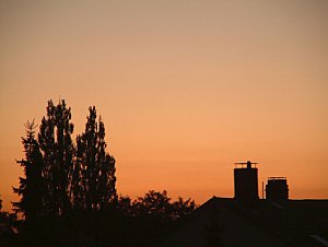 Gegenlicht gezielt eingesetzt erzeugt eine romantische Abendstimmung [Foto: MediaNord]