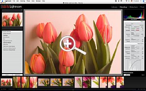 Adobe Lightroom Beta – In diesem Menü stehen Ihnen alle möglichen “Entwicklungs”- und “Belichtungs”-Werkzeuge zur Verfügung [Foto: MediaNord]