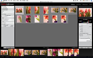 Adobe Lightroom Beta – Die “Library”, der eigentliche Leuchttisch von Lightroom [Foto: MediaNord]