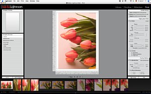 Das “Print”-Menü erlaubt zahlreiche Einstellungen und Extras wie die automatische Einblendung von Dateinamen, Copyrights etc [Foto: MediaNord]