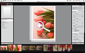 Das “Print”-Menü erlaubt zahlreiche Einstellungen und Extras wie die automatische Einblendung von Dateinamen, Copyrights etc [Foto: MediaNord]