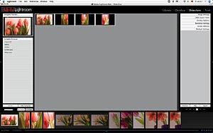 Slideshow ist der Präsentationsmodus von Lightroom. Hier werden Bildschirmpräsentationen oder PDFs erstellt [Foto: MediaNord]